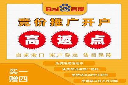 百度推广返点攻略：成功案例分享与启示